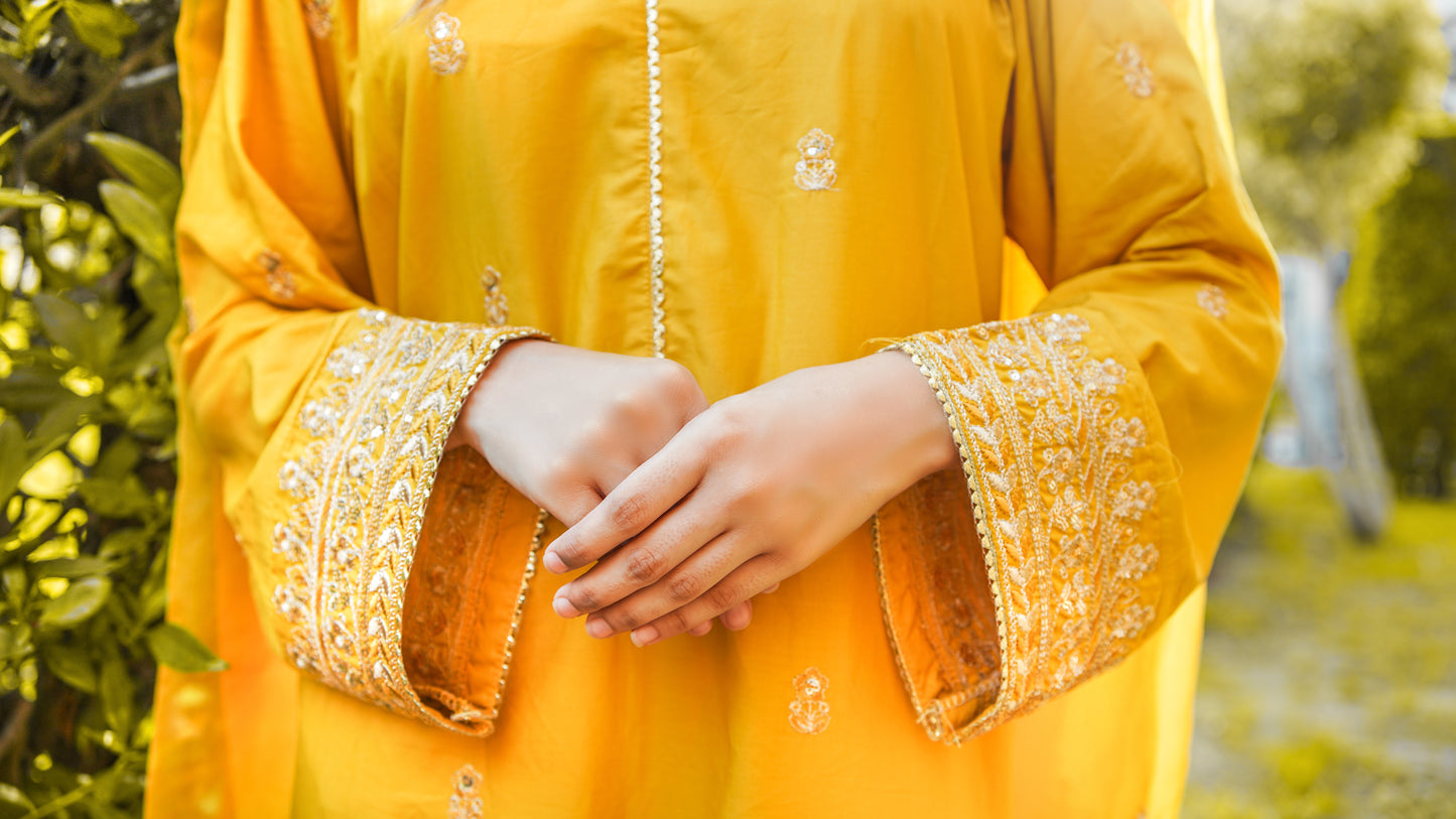 Sunset Blaze | 3-Pcs Stitched Embroidered Outfit