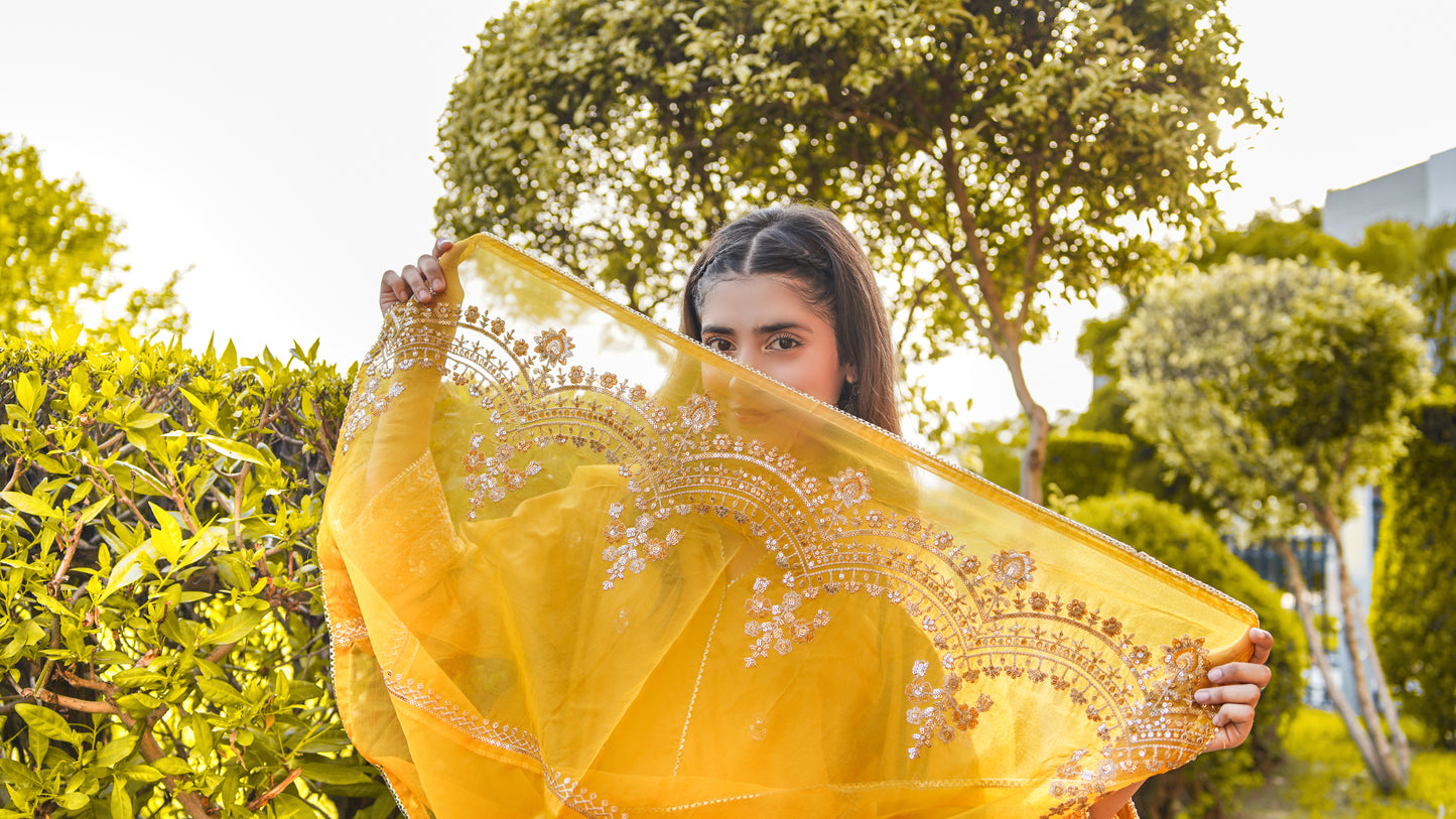 Sunset Blaze | 3-Pcs Stitched Embroidered Outfit