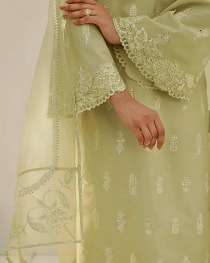 Apple Green - A Blend of Splendor and Botanical Overtones