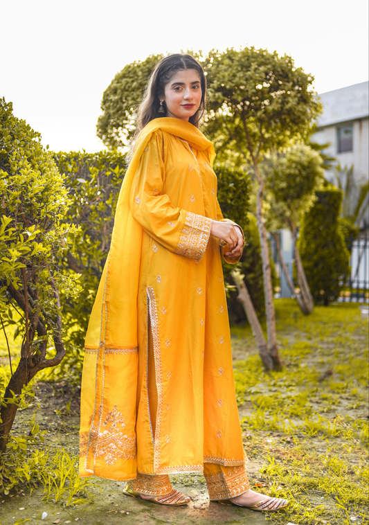 Sunset Blaze | 3-Pcs Stitched Embroidered Outfit